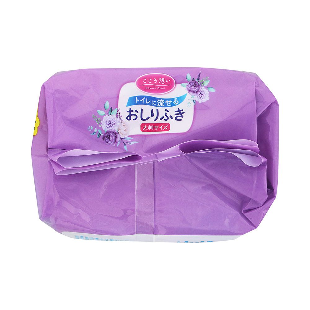 こころ想い流せるおしりふき大判 40枚x2P レック